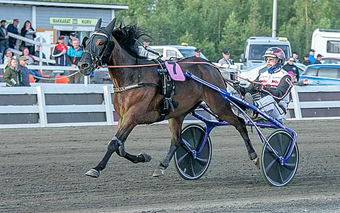 Viime kesänä Selmer I.H. voitti Torniossa Midnight Racen Mika Forssin ajamana.