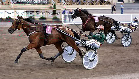 Hannu Torvisen luotsaama Stonecapes Queila voitti vielä selvemmin kuin Vermon pitkän matkan kisassa.