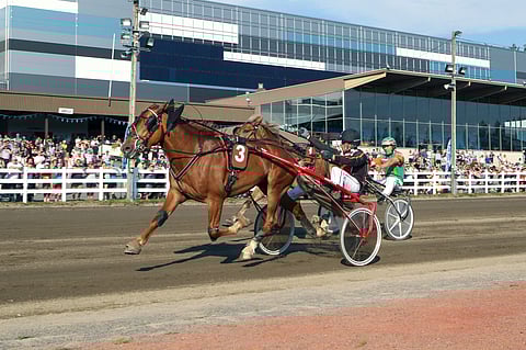 Mikkelin vauhtiviikonloppu lähenee. Tähen Toivomus juoksi vuosi sitten Suurmestaruuden voittoon ennen Polaraa. Kaksikko ottaa yhteen tänäkin vuonna. Kuva: Totofoto.