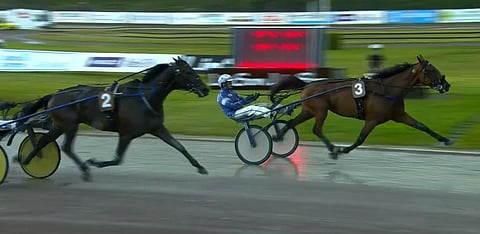 Uza Josselyn piti Nadal Brolinen takanaan. Kuva: ATG Live