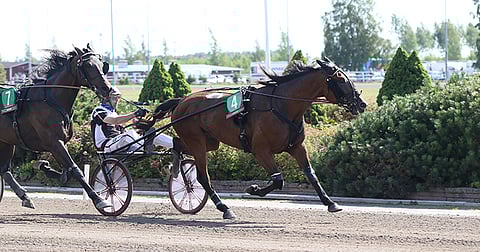 Vermossa pitkän matkan valloittanut Valiant Dream paineli mailin Porissa aikaan 11,3a.