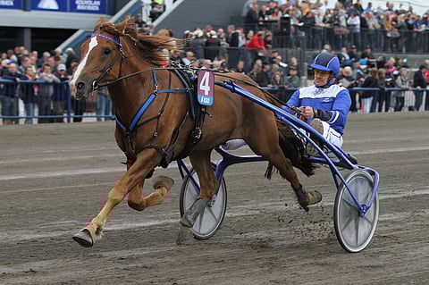 Välähdys. Kuva: Roosa Lindholm