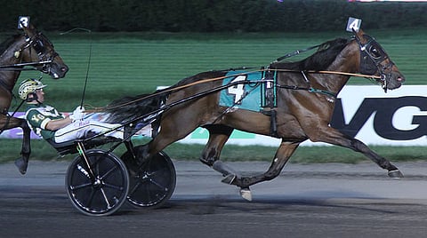 Synergy voitti karsintalähtönsä suureen 2-vuotiskilpailuun Peter Haughton memorialiin. Kuva Michael Lisa