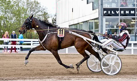 Amazing Warrior. Kuva: Rilla Laine