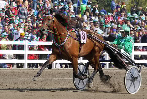 Ari Moilanen oli Bret Bokon hovikuski koko ruunan pitkän kilpailu-uran.