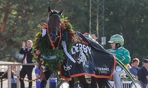 Erkki-Pekka Mäkisen valmentama Graceful Swamp jatkaa ikäluokkansa kiistattomana valtiaana.