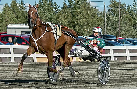 Grand Ale on pelilukemiaan todennäköisempi voittaja.