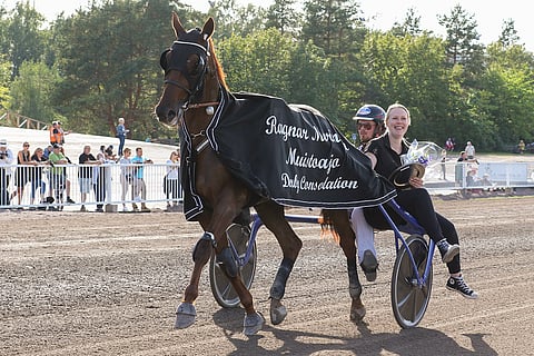 Majestic Mania juhlittiin vuosi sitten syksyllä derbyn lohdutusfnaalin voittajana Vermossa.