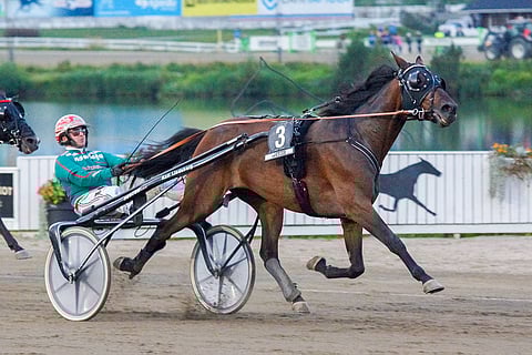 Mr Hot Shot on päätöskohteessa alipelattuna mainio ideavarma. Kuuman keskiviikon jackpotissa on 46 644 eurosa ekstrarahaa.