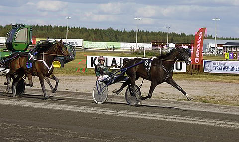 Obrigado on kova tekijä.