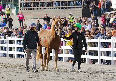 Kuvassa Rannan Sipi Jokimaan kunkkarihuutokaupassa vuonna 2019.