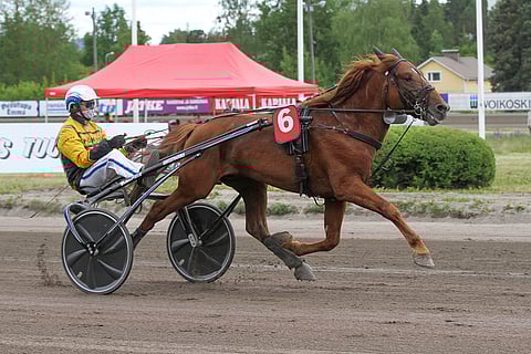 Rupeltaja starttaa suosikkina kylmäverikohteessa.