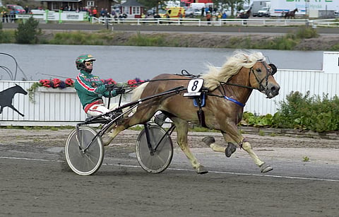 Hiioppi voitti Derby-karsinnan Killerillä 15.8.2019. Nyt se palaa tauolta samalla radalla.