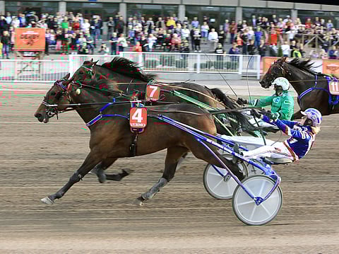 Joyride Luxi päihitti laukan jälkeen rajun suorituksen tehneen megasuosikki Graceful Swampin.