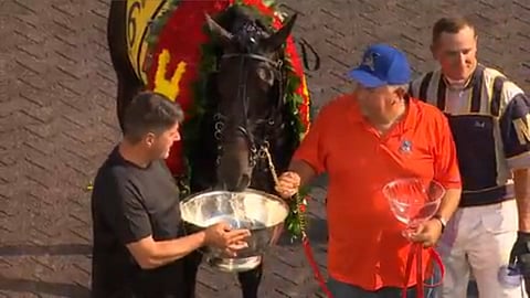 Yllättäjä Forbidden Tradelle tarjottiin vettä Hambletonian-maljasta Meadowlandsissa. (Kuva: HU arkisto)