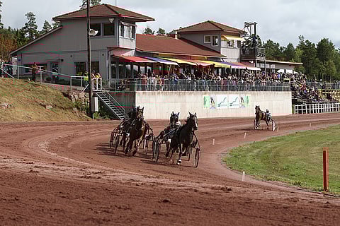 Maarianhaminan kesäraveissa katsojat ovat lähellä hevosia.