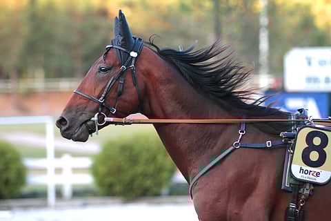 Marrakesh saapuu ensi keskiviikkona Vermoon tavoittelemaan paikkaa derby-finaalissa.