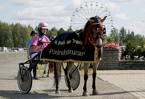 Oona Halmeen ohjastama ja valmentama Odd Molly ei ollut valmis lopettamaan voitokasta kauttaan. Paalulta takaponeja karkuun lähtenyt ruhtinatarkisan ensikertalainen voitti varmasti.