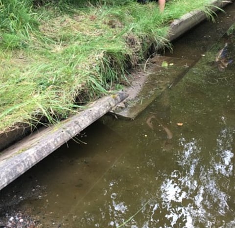 Hevonen kuoli Hyvinkäällä ratsastuskilpailuiden yhteydessä