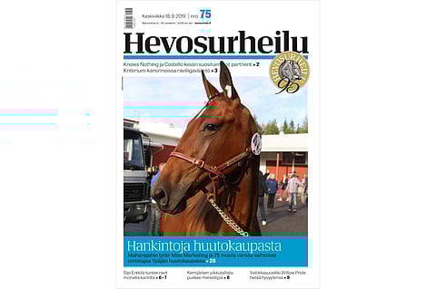 Varsahuutokauppa kokosi hevosväen Ypäjälle. Kannen kuva: Annika Nisonen.