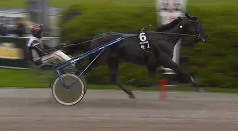 Se on siinä! Lewis Ale voittaa UET-karsinnan. Kuva: ATG Live