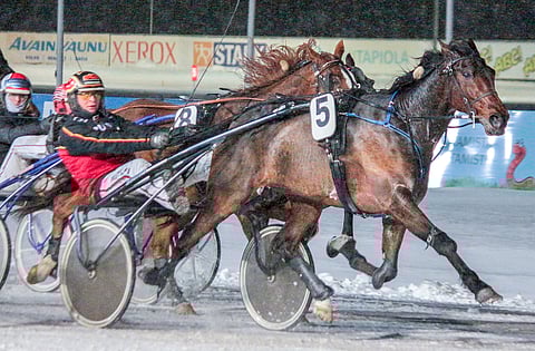 Minto's Don Juan oli ansaitusti koko toto5-kierroksen suuri suosikki.