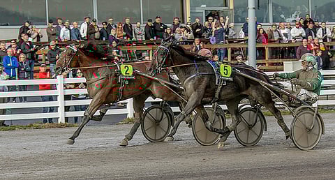 Santtu Raitalan ajama Raskolnikov Frido tavoitti karkumatkaa yrittäneen Sahara Peyoten/Ari Moilanen ajoissa.