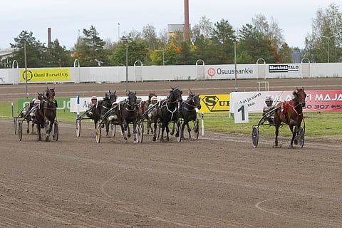 Mika Forssin ajama Willow Pride hallitsi Tammavaltikkaa.