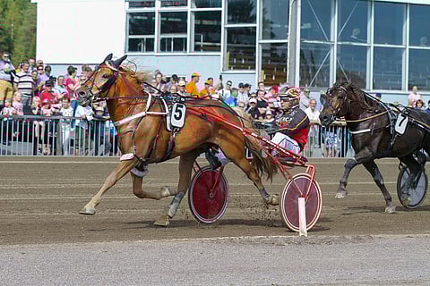 Juiseri kukisti viime vuoden Pilvenmäki Maratonissa Köppisen.