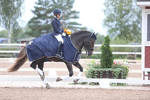 Kulta-ahon Kasimirille Kelmi Kür.