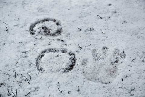 Kauhavalla paljastui viime viikolla, että hevosia on kohdeltu kaltoin.