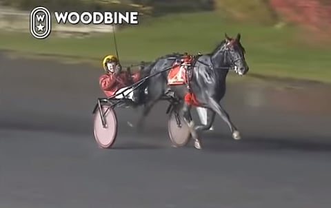 Ensin ykkönen ja sitten tulivat muut. Bold Eagle voitti Breedersin helposti. Kuva: Woodbine replays)