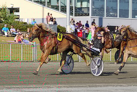 Ilkka Pyysalon Milrid on kotiradalla hyvä ideavarma.