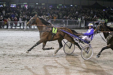 Ecurie D voitti 3-vuotiaiden EM-kisan Vermossa. Kuva: Roosa Lindholm