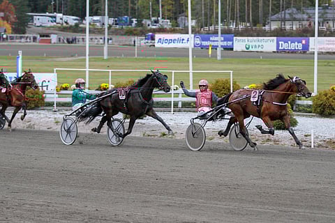 Raskolnikov Frido jatkaa viikon starttivälillä voitokkaasta kriteriumista 3-vuotiaiden EM:ään. Kuva: Roosa Lindholm.