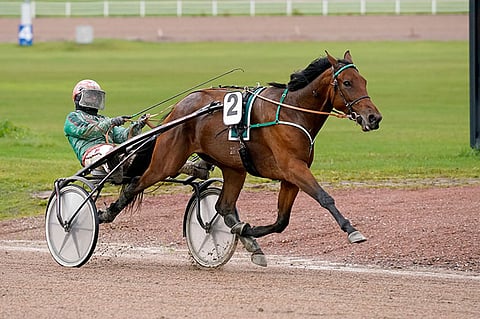 Hannu Torvinen ajoi Dazella päättäväisesti johtopaikalta.