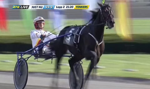 Ori Zacon Gio kiskoi huimalla kirillä Yonkersin MM'lähdön voittajaksi. (Kuva: ATG Live)