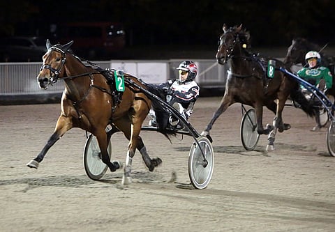 Immersive Workout on mielenkiintoinen varma Toto65-peliin. Kuvassa ohjissa on Mika Forss, kun illalla tammaa ajaa toisen kerran Santtu Raitala.