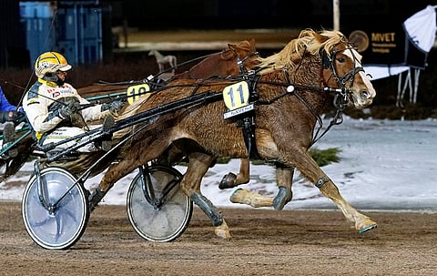 Jukka-Pekka Kauhanen on ajanut Hissun Turboa monesti, mutta Kaustisella ruunan kyydistä nautti Tuomas Pakkanen.