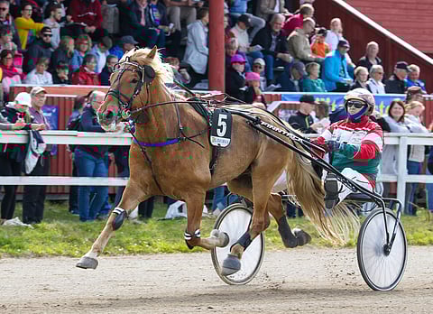 Juha-Pekka Ahonen ei toistaiseksi pääse palaamaan hevosen ohjiin. Arkistokuvassa hän ohjastaa Jyllätystä.
