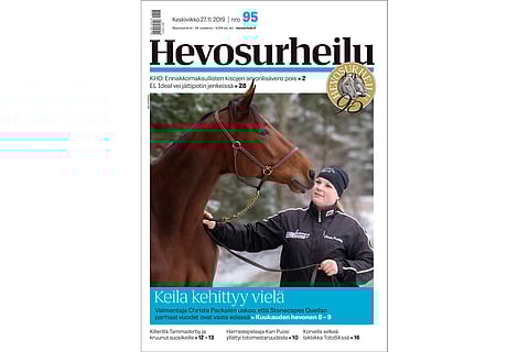 Stonecapes Queila on väkivahva puolifransmanni. Kannen kuva: Anu Leppänen