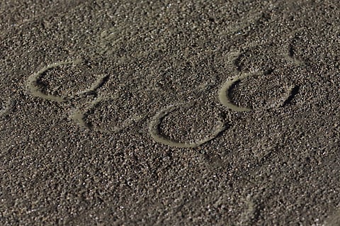 Nuorta varsaa vedettiin ravikärryjen perässä. Kuvituskuva.