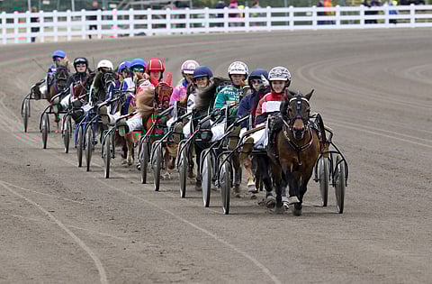 Ponien mittaaminen tapetilla – kansainvälinen poniraviurheilu vaarassa?