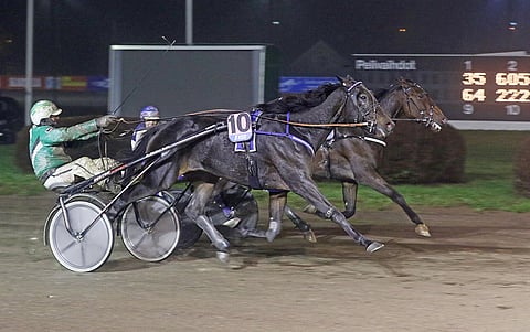 American Hero taisteli johtopaikalta vahvasti maaliin asti, mutta joutui tyytymään hyvään kakkossijaan.