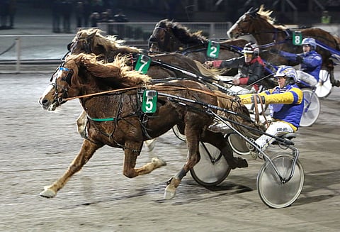 Kihisee ei päästänyt Pauhista ohitseen.