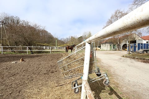 Tallinnassa sijaitsevalla Hipodroomen raviradalla on tavattu tarttuvaa hevosinfluenssaa. Kuva: JU