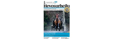 Pascha Tilly on Kuukauden hevonen. Kannen kuva: Anu Leppänen.