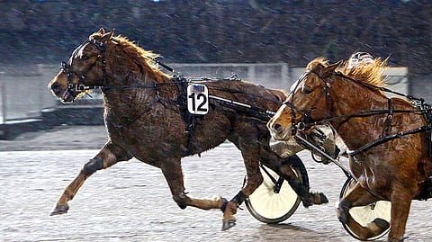 Ulompana voittoon kirivä Karlo on helppo valinta Porin Toto5-pelin tukipilariksi.