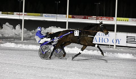 Nappijuoksun saanut Magnifik Brodde irtosi maalisuoralla omille teilleen.
