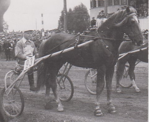 Kolminkertainen ravikuningas Akapeetus ja Jukka Perttula.